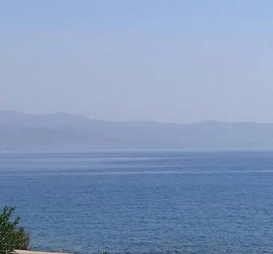 Yellow House * Логарас