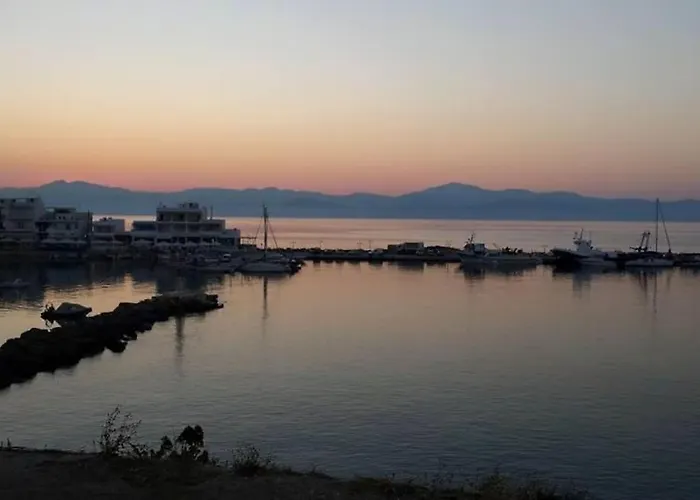 Yellow House 別荘 ロガラス